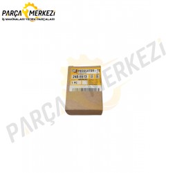 Caterpillar Termostat